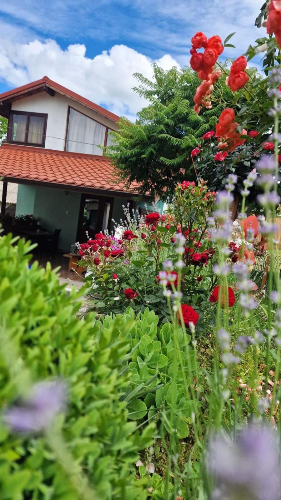 Casa Adi Si Maria 호텔 마흐무디아 외부 사진